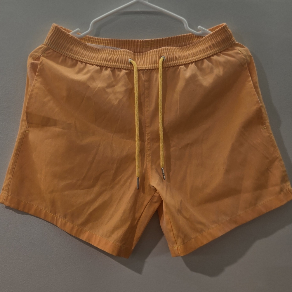 Color Changing Swimshorts